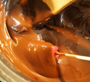 Chocolate Dipped Cinnamon Gummy Bears